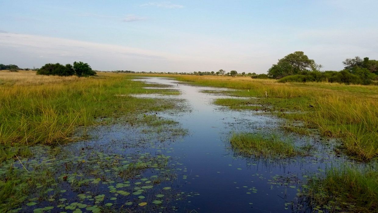 Botswana Safari