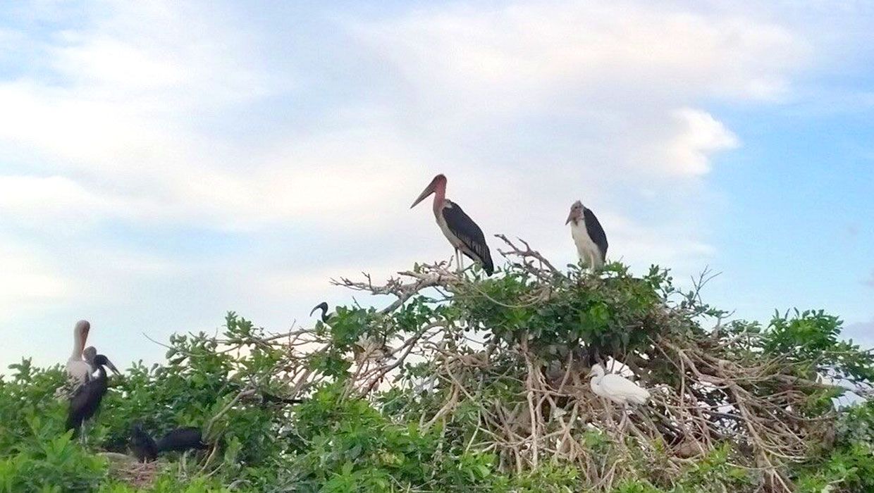 Botswana