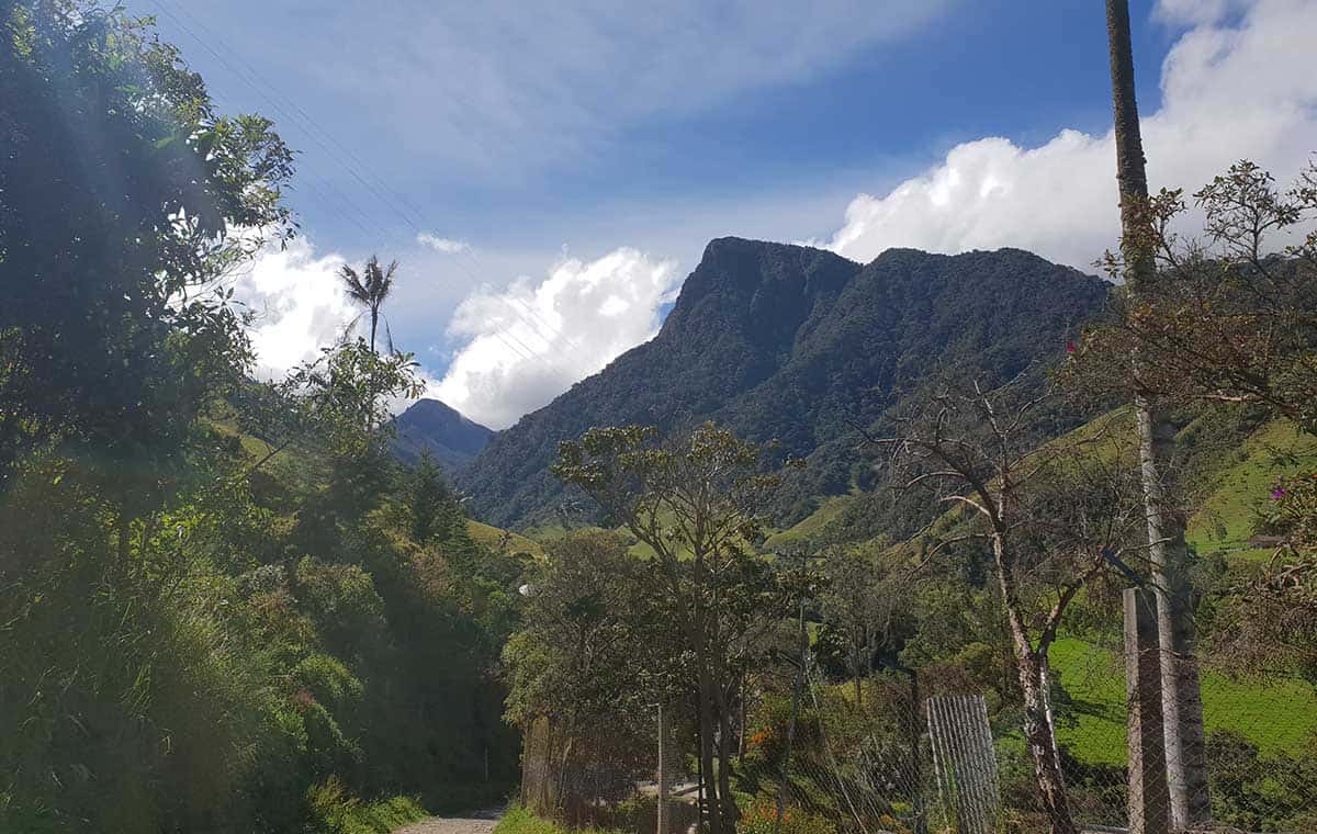 Cocora Valley