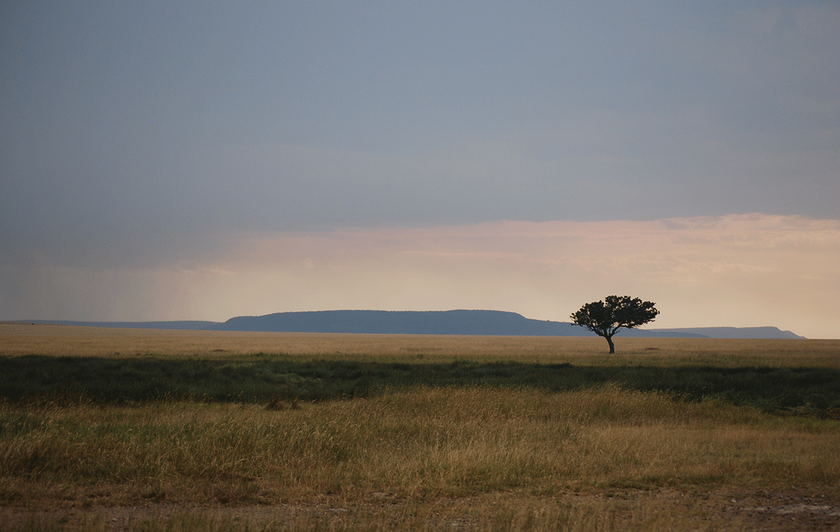 Serengeti Sunset