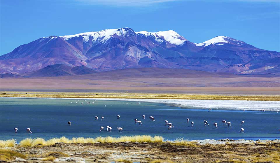 Atacama Desert