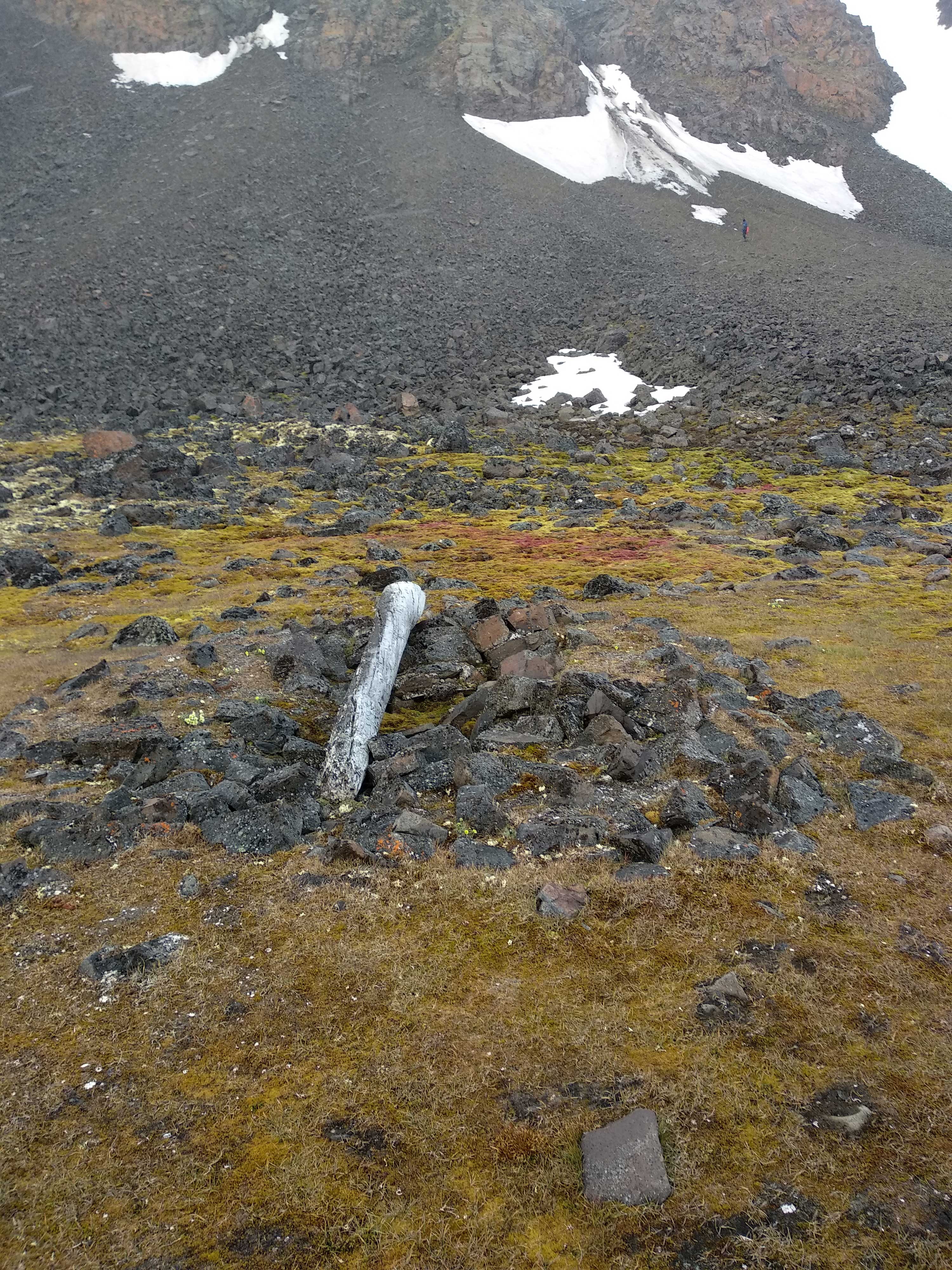 Franz Josef Land