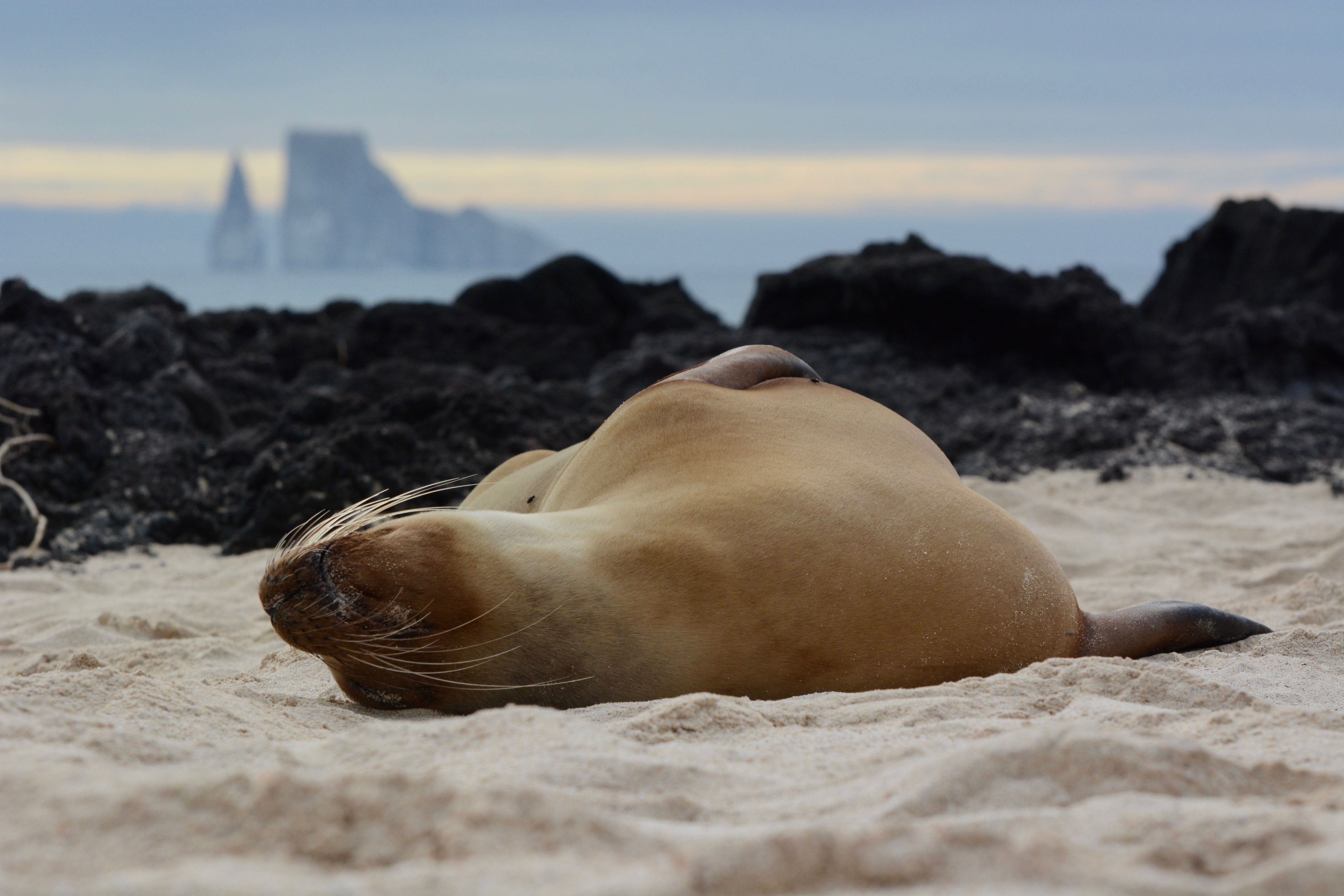 Galapagos Islands