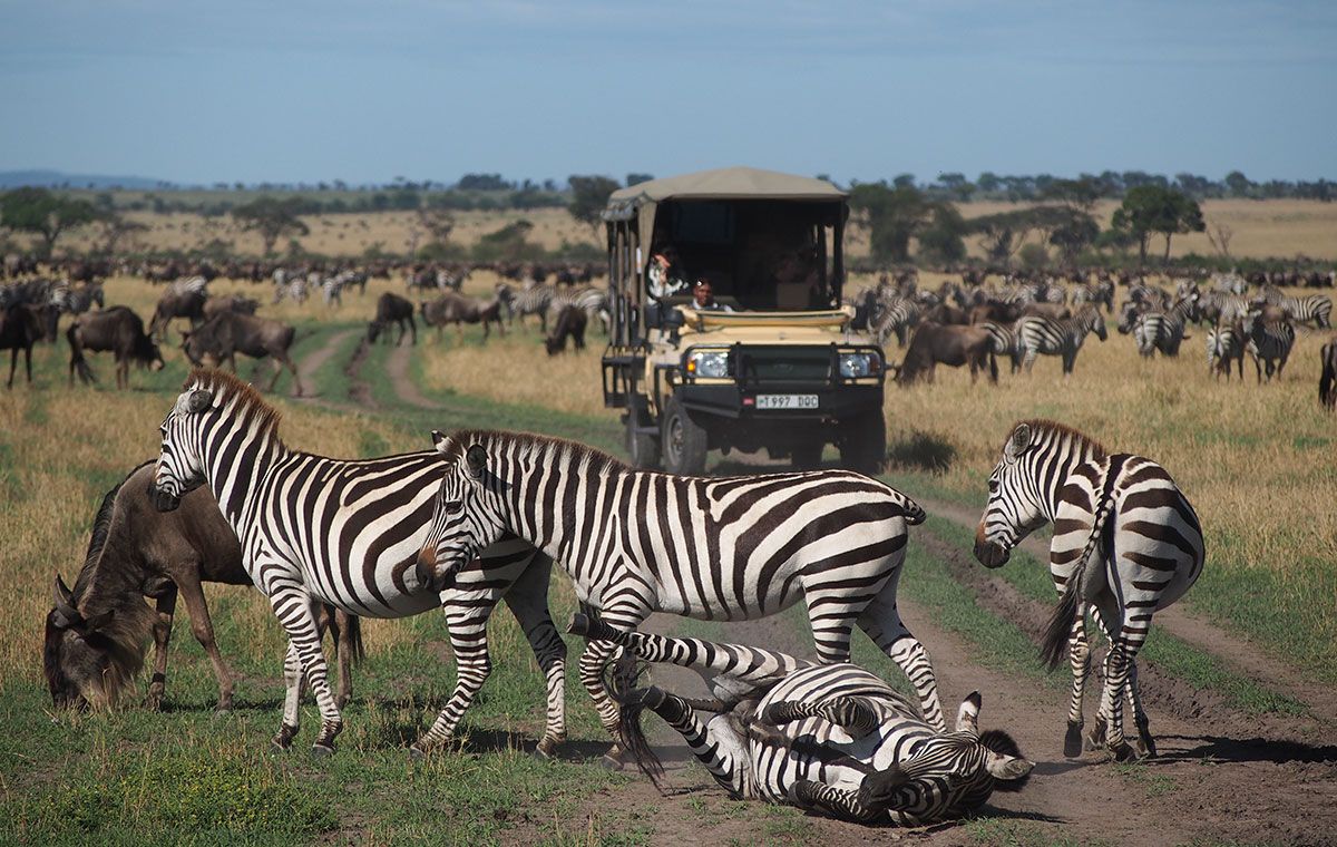 Great Migration