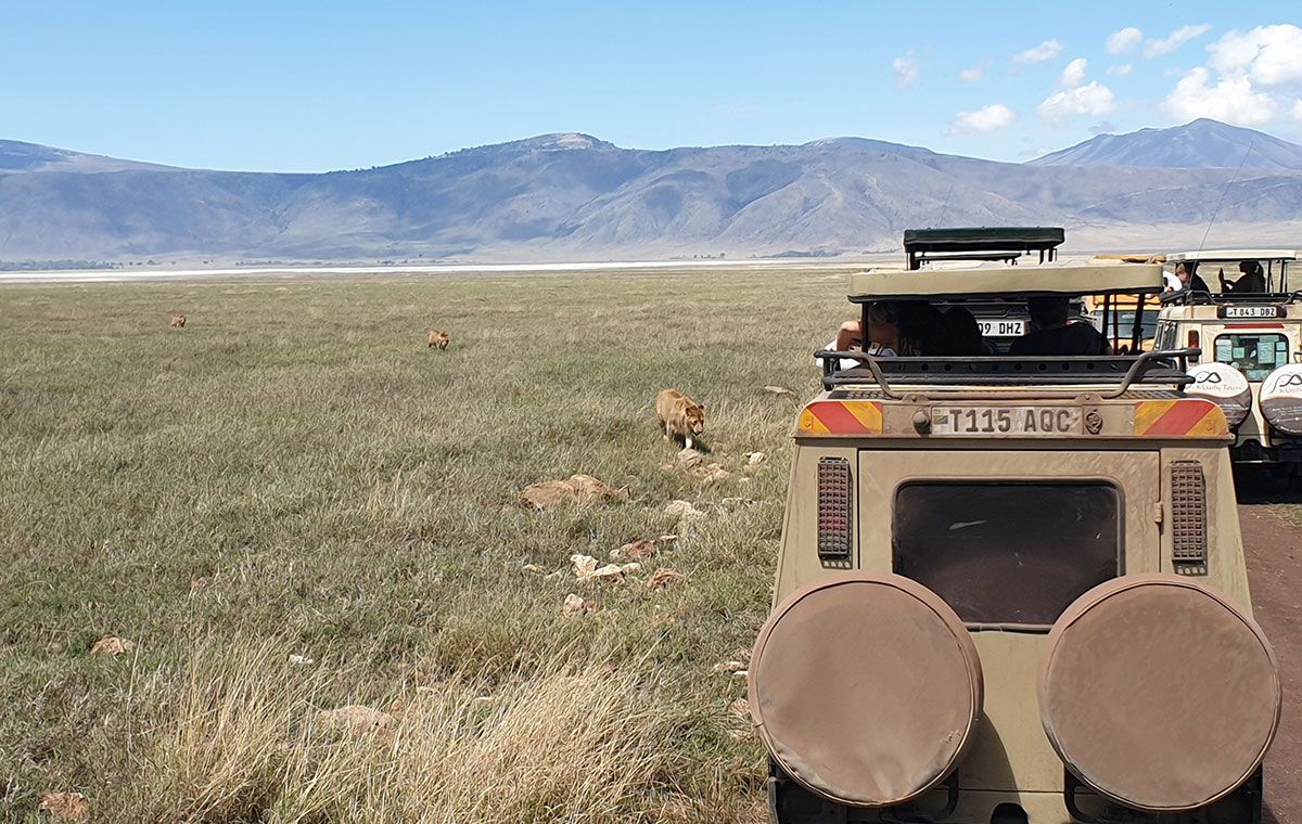 Ngorongoro