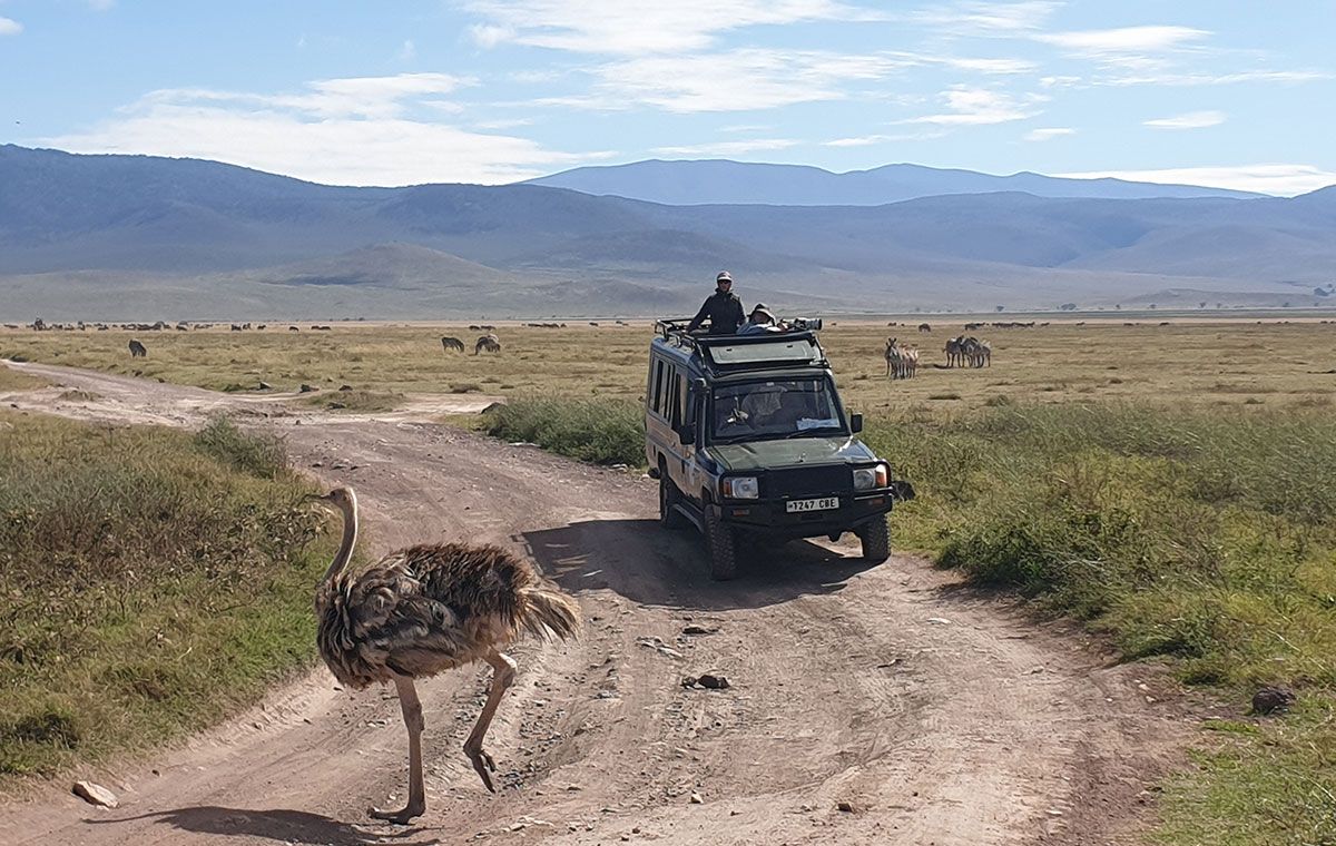 Ngorongoro