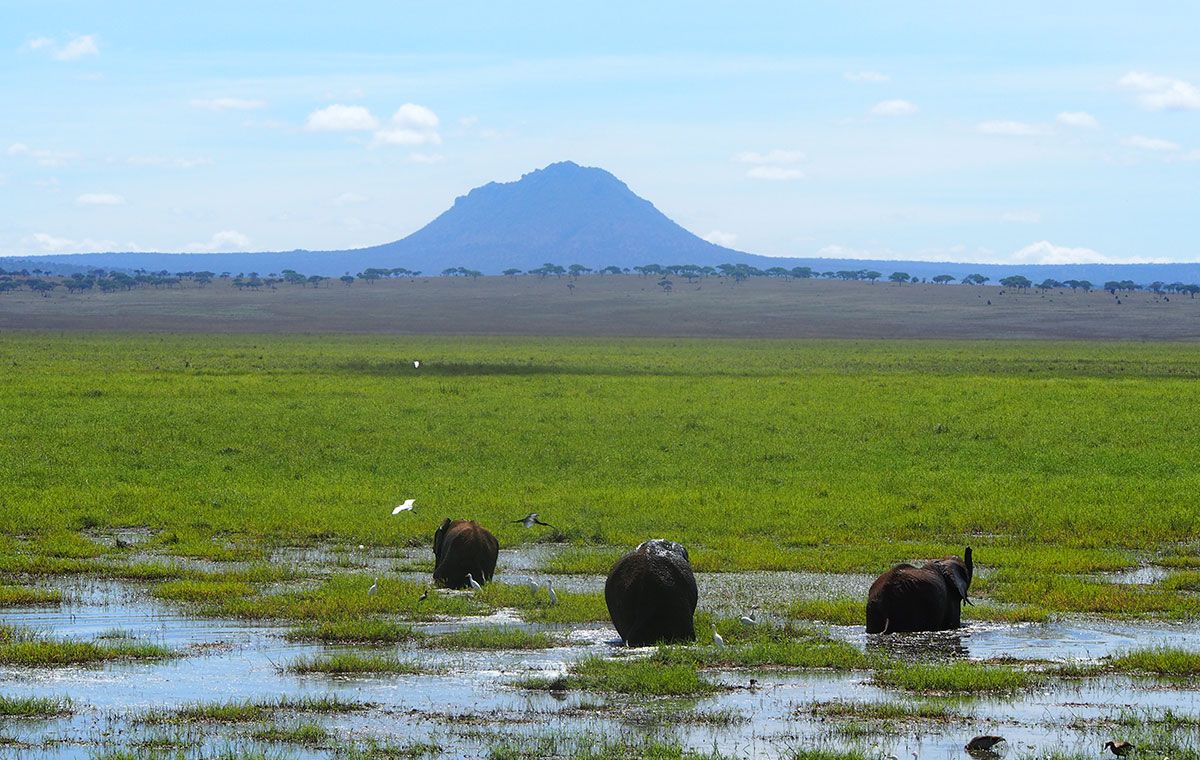 Tanzania