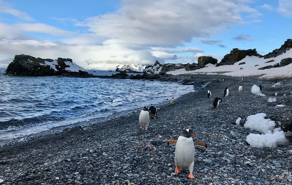 Antarctica