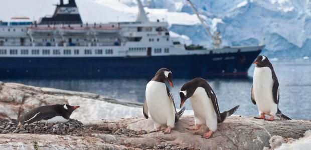 23/24 Antarctic Season Specials