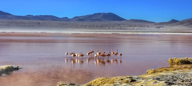 Bolivia Tours