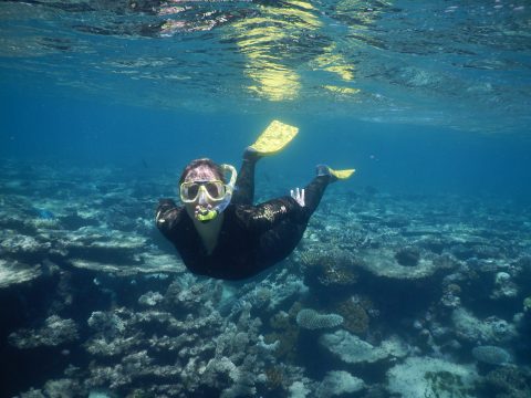 Oahu Snorkelling