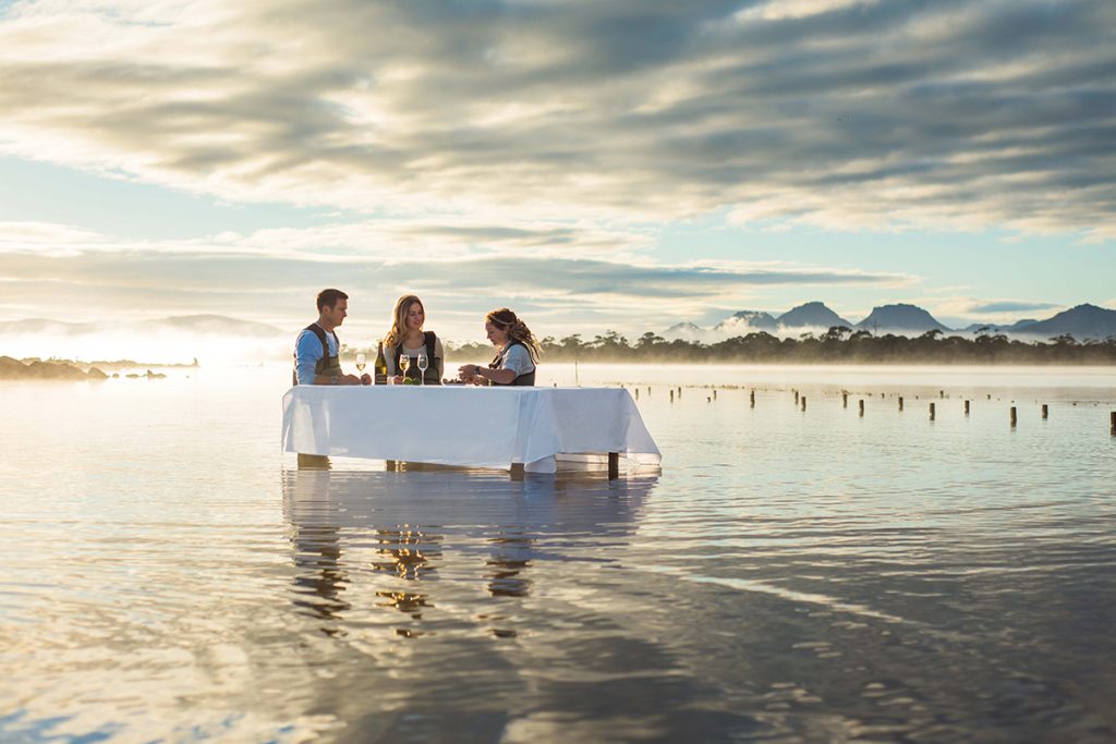 freycinet oysters