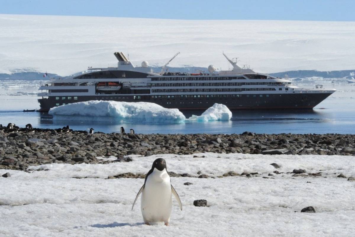 L'Austral