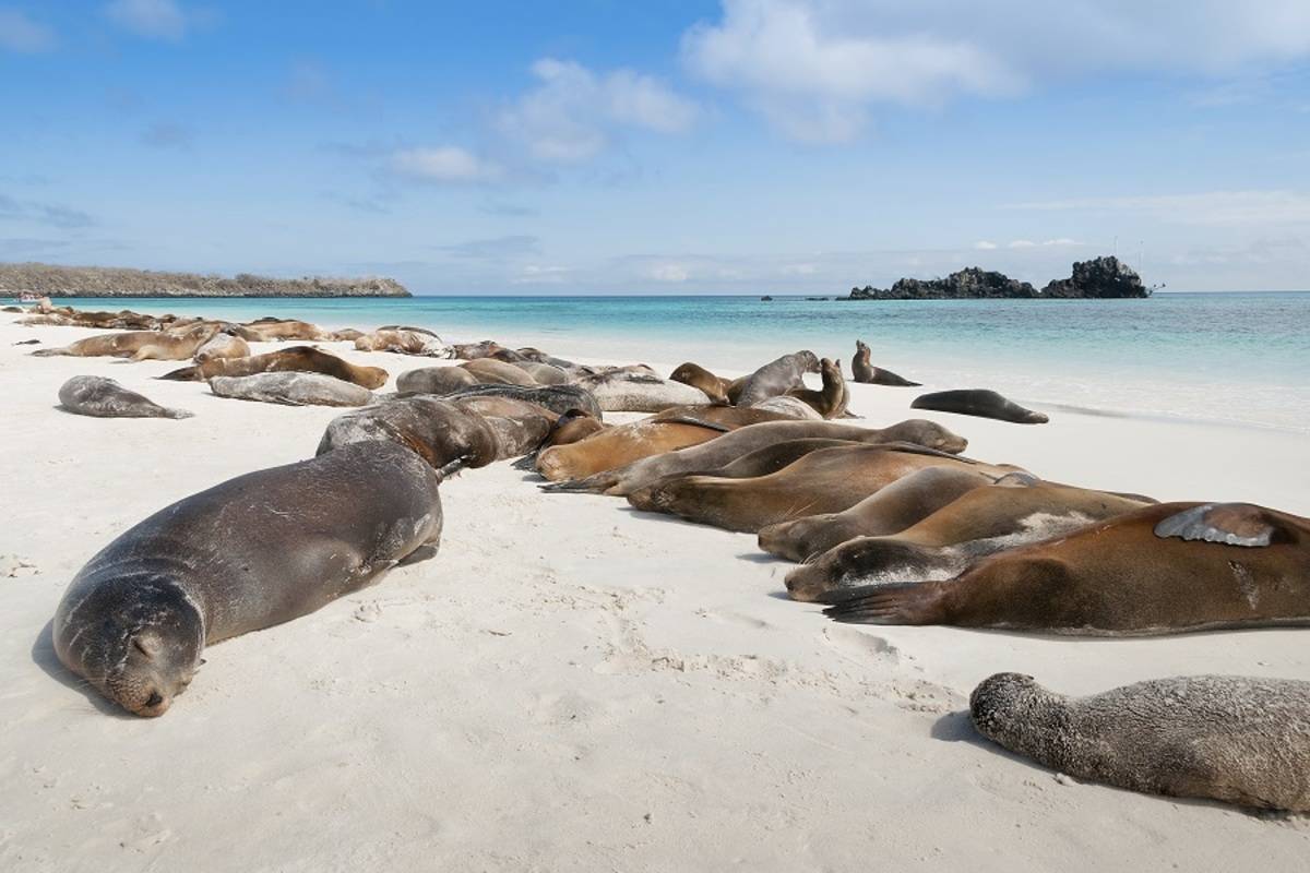 Central & Southern Galapagos Islands