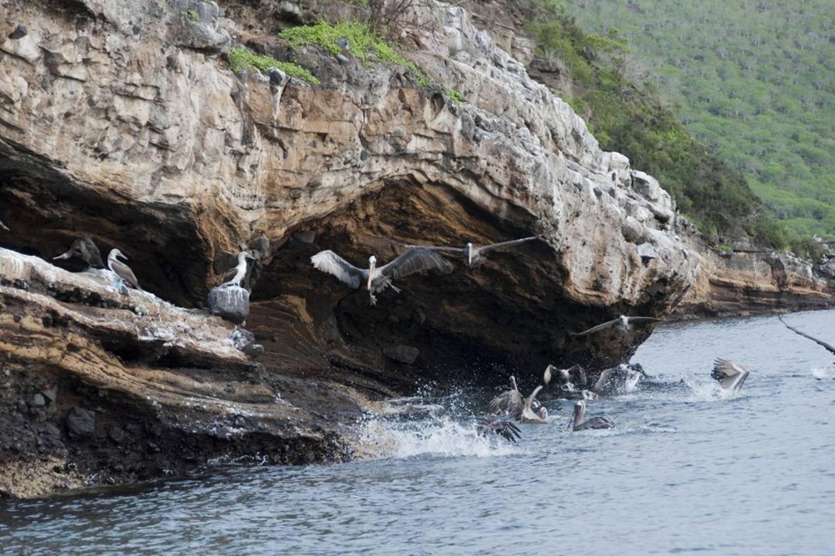 Western & Northern Galapagos Islands