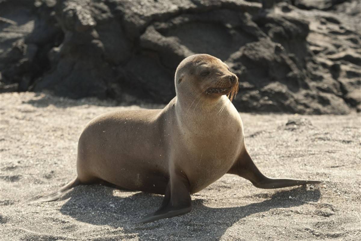 North Galapagos Islands