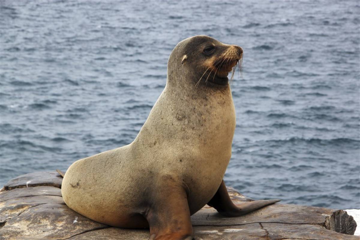 Eastern Galapagos Islands