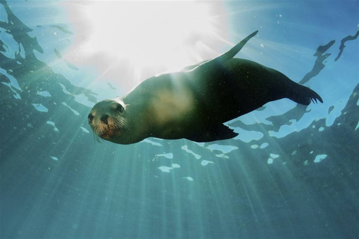 West Galapagos Islands