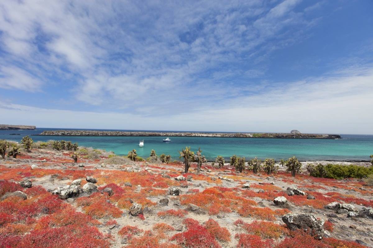 Northern & Central Galapagos Islands (A2)