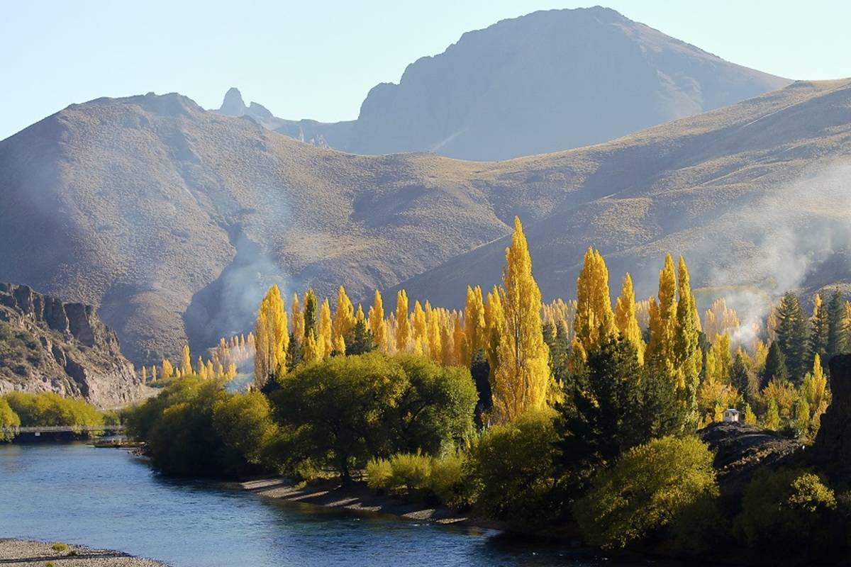 Pato Andino: Panorama of the Andes