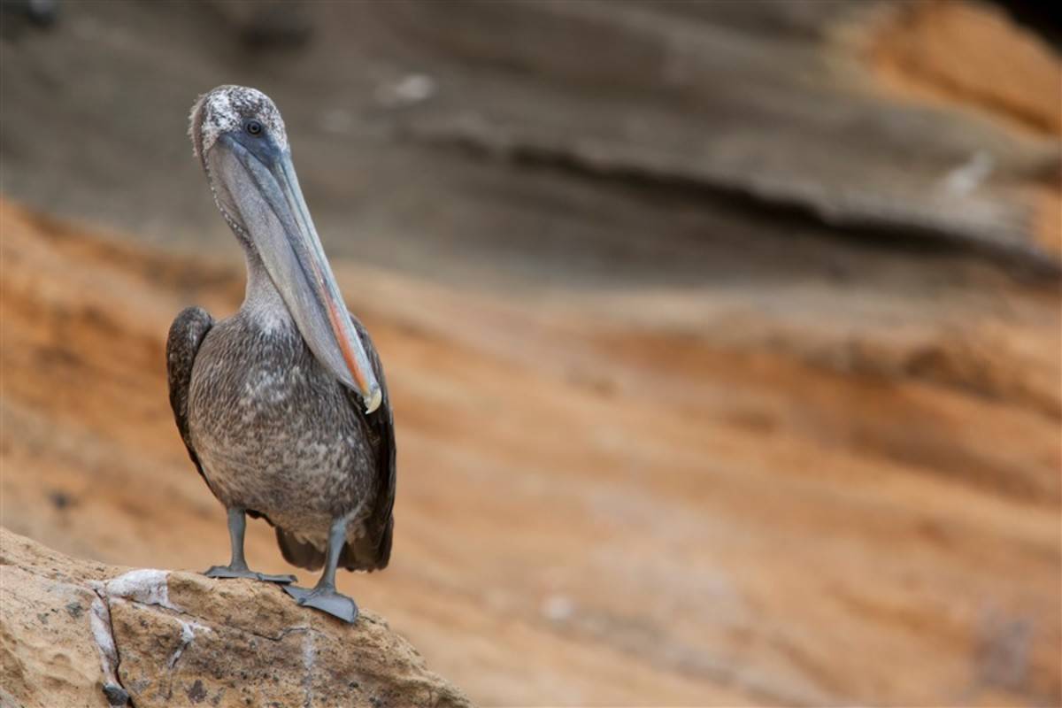 Eastern Galapagos Islands