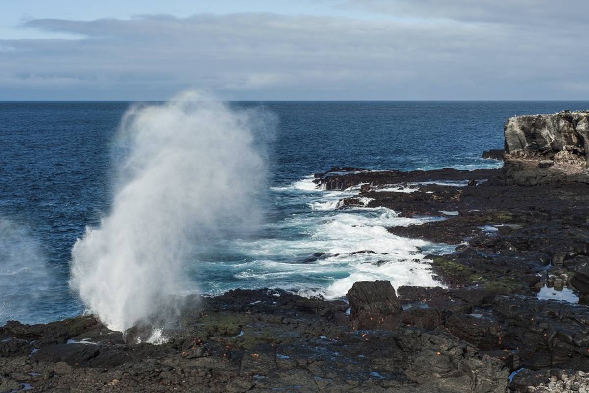 Eastern Galapagos Islands (A1)