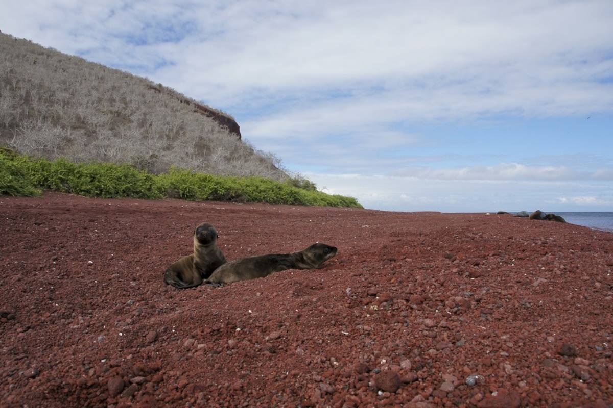 Western and Northern Galapagos Islands