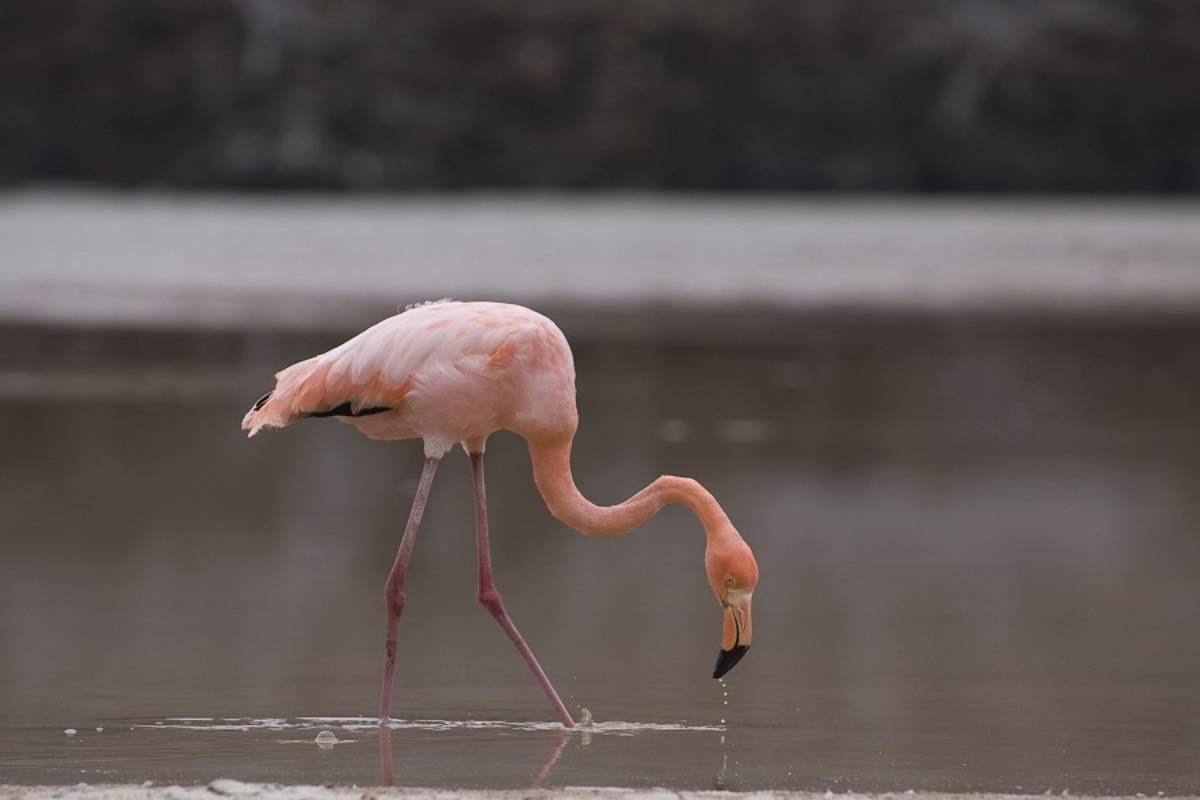 Eastern Galapagos Islands