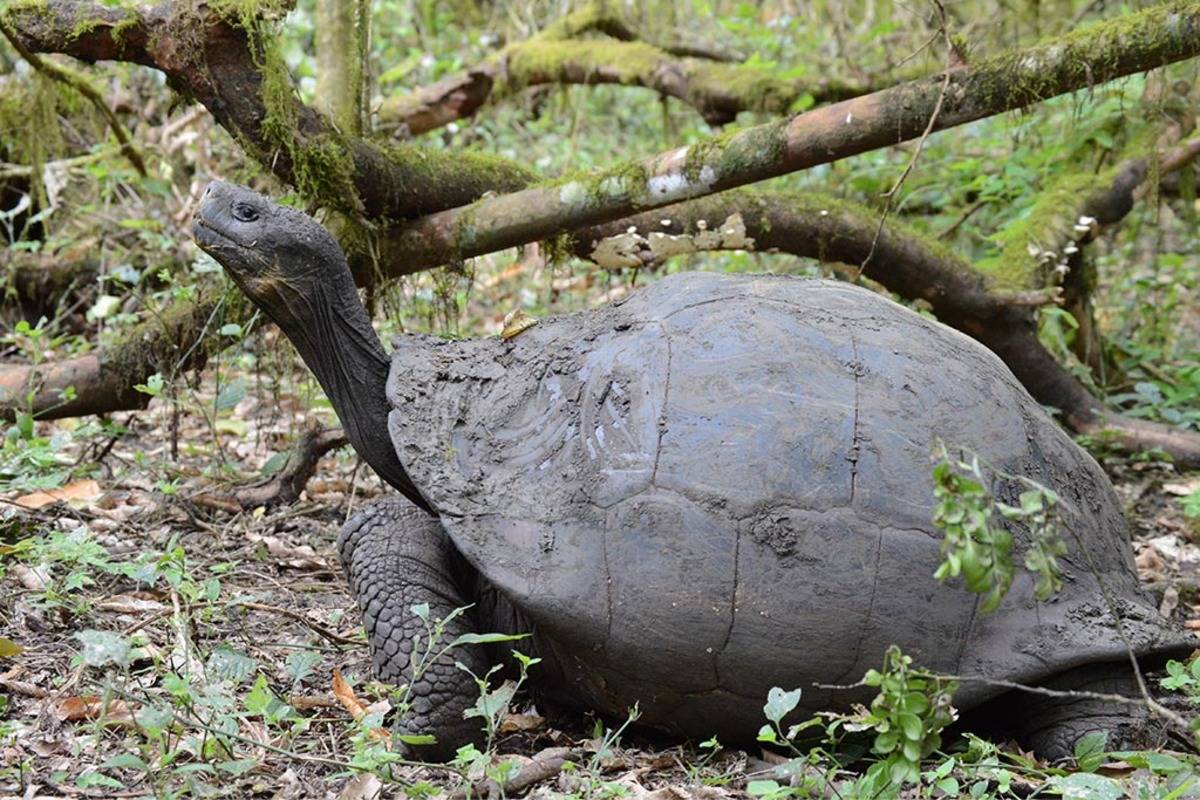 Eastern Galapagos Islands