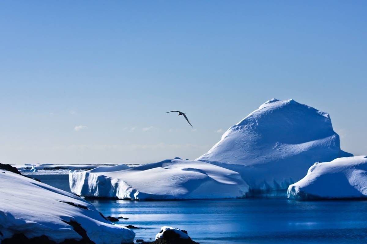 Antarctic Peninsula - Basecamp