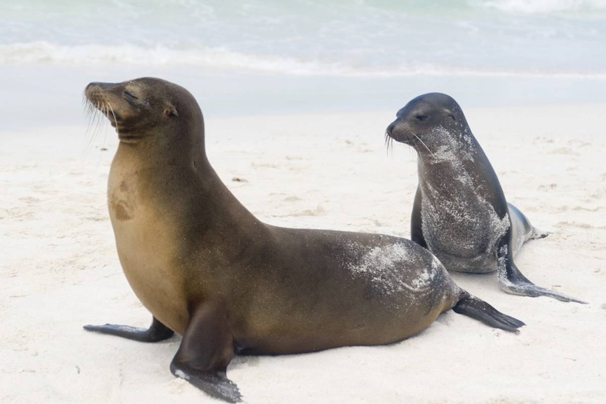 Southern Galapagos Islands