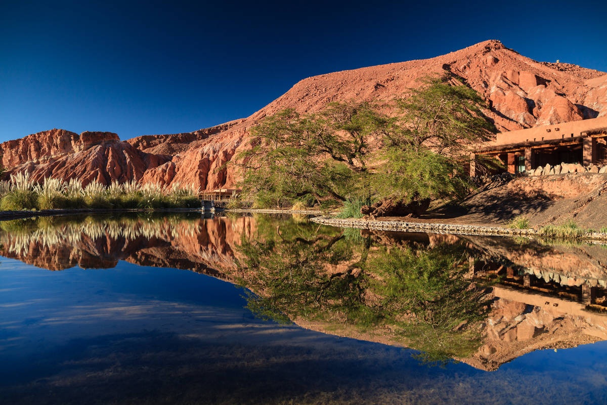 Alto Atacama