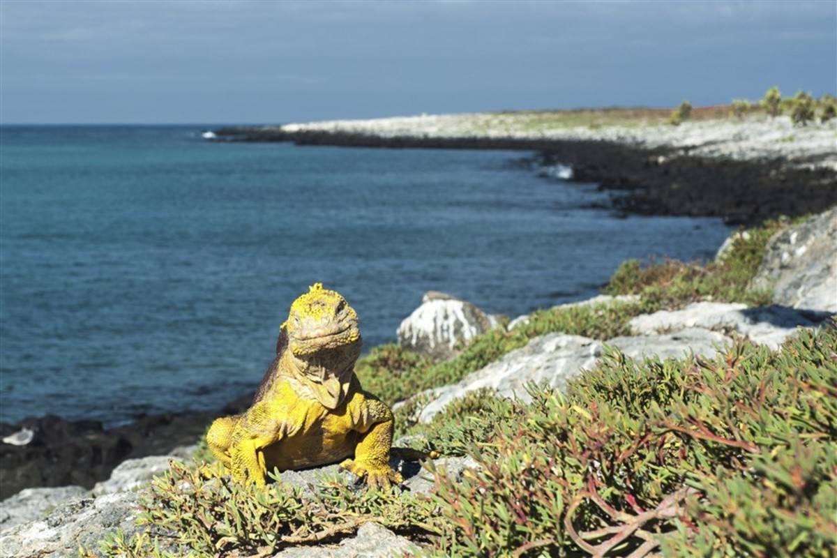 Eastern & Central Galapagos Islands