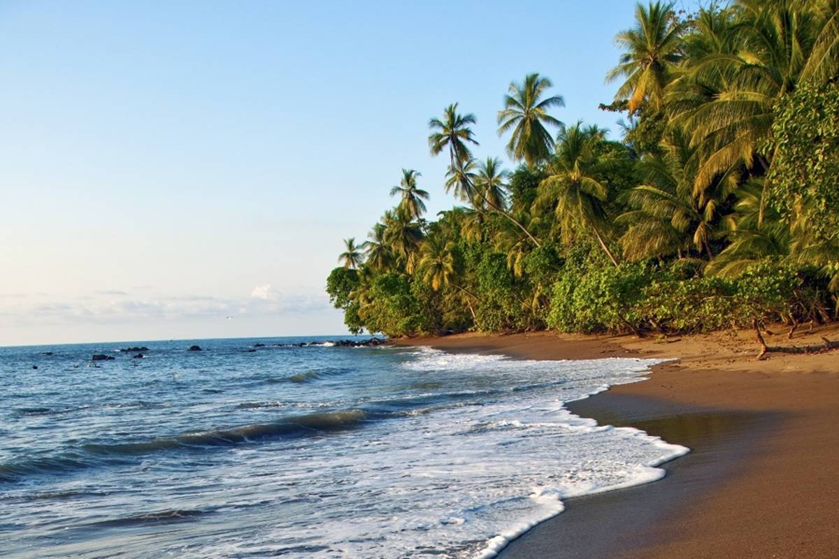 National Geographic Quest: Costa Rica & Panama Canal ex. Panama City