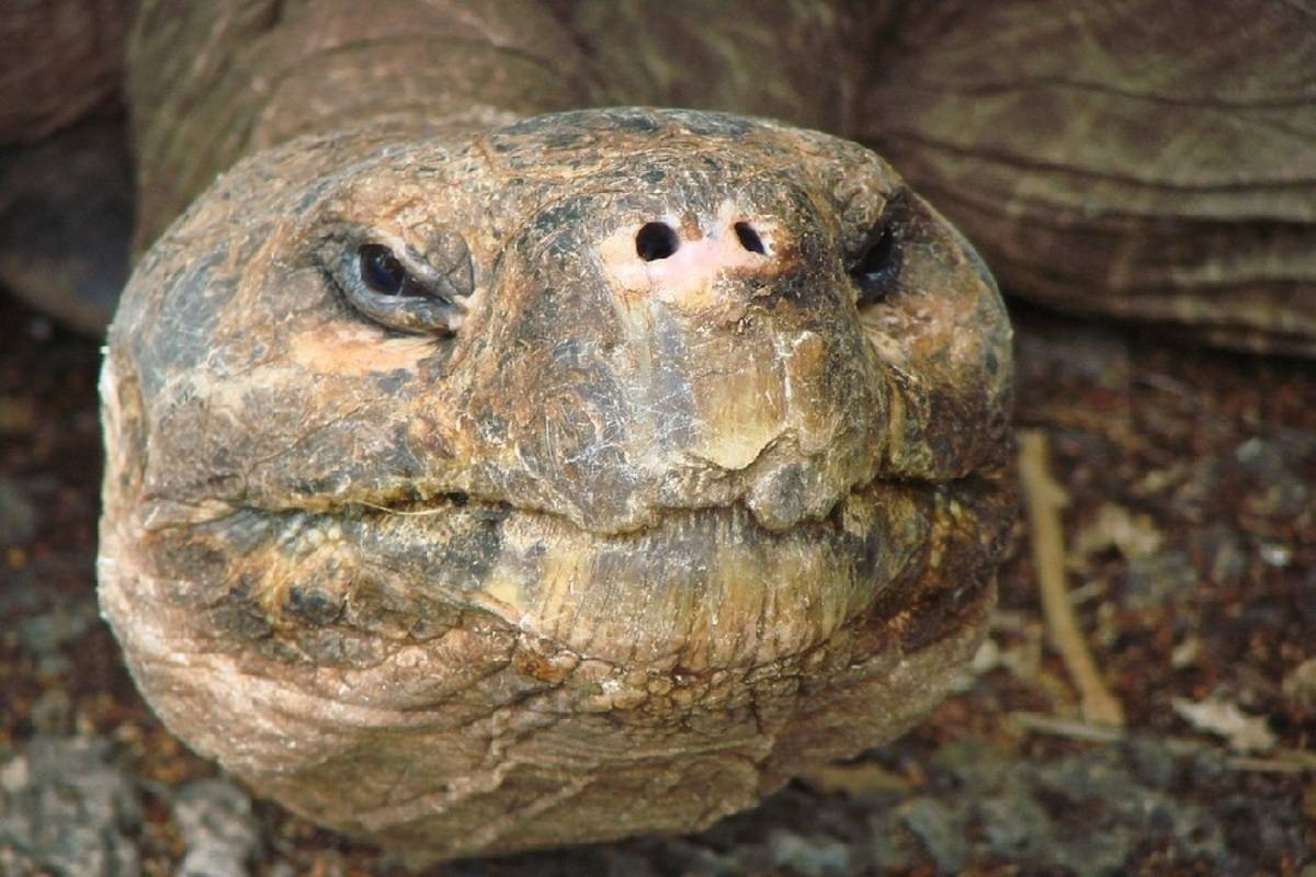 North Central Galapagos Islands