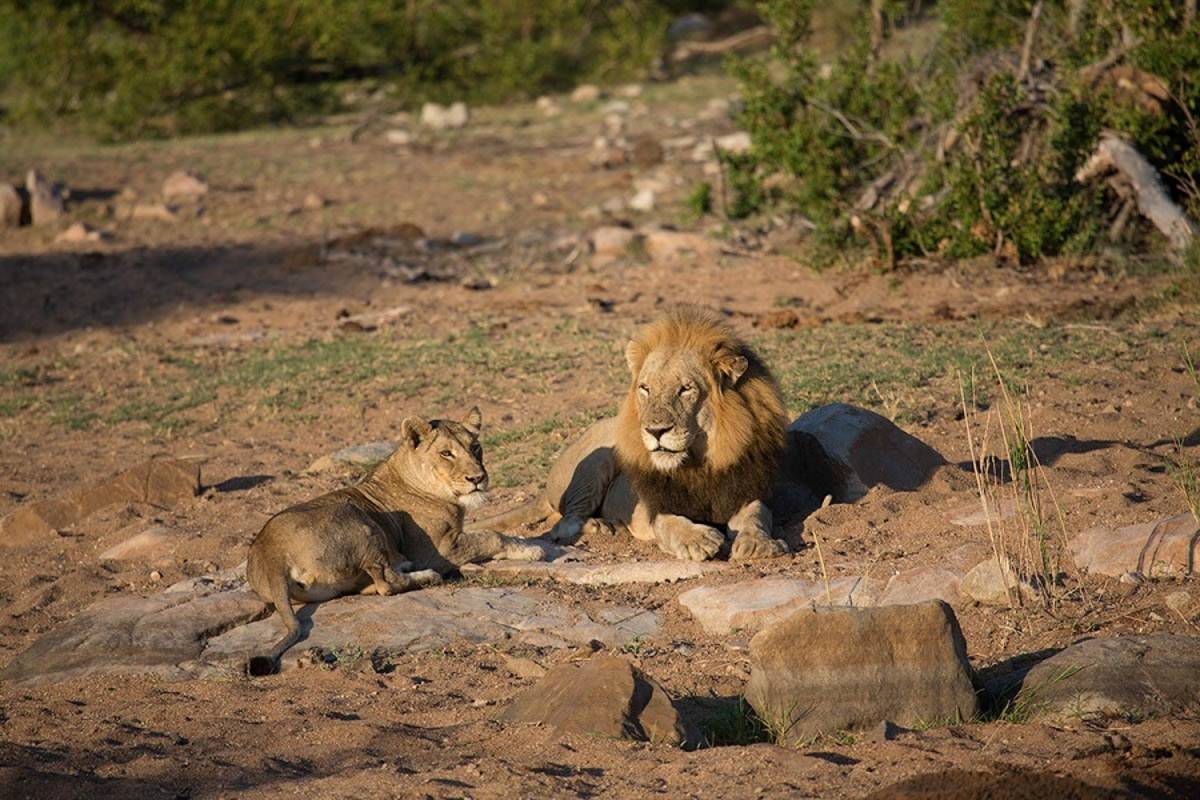 Kruger & Victoria Falls