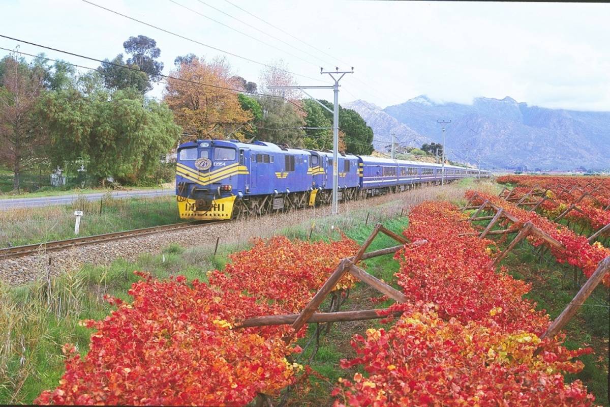 Blue Train Journey: Pretoria to Cape Town