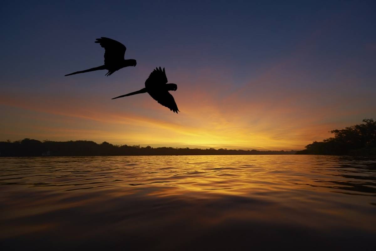 Amazon River Cruise