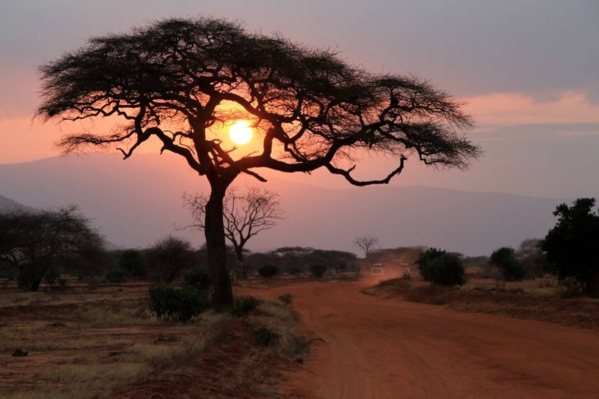 Kenya & Tanzania Explorer (Serena Lodges)