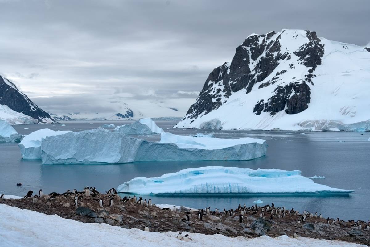 Antarctic Explorer - Discovering the 7th Continent