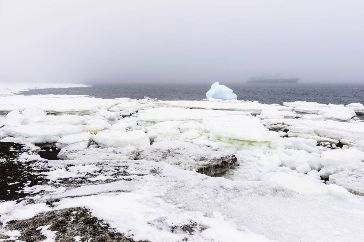 Antarctic Peninsula - Realm of Penguins & Icebergs