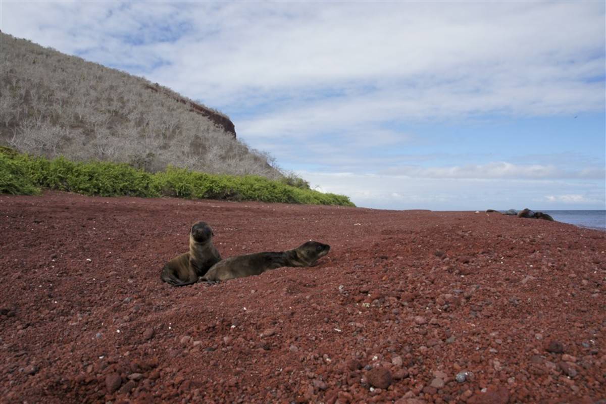 Eden: Complete Galapagos