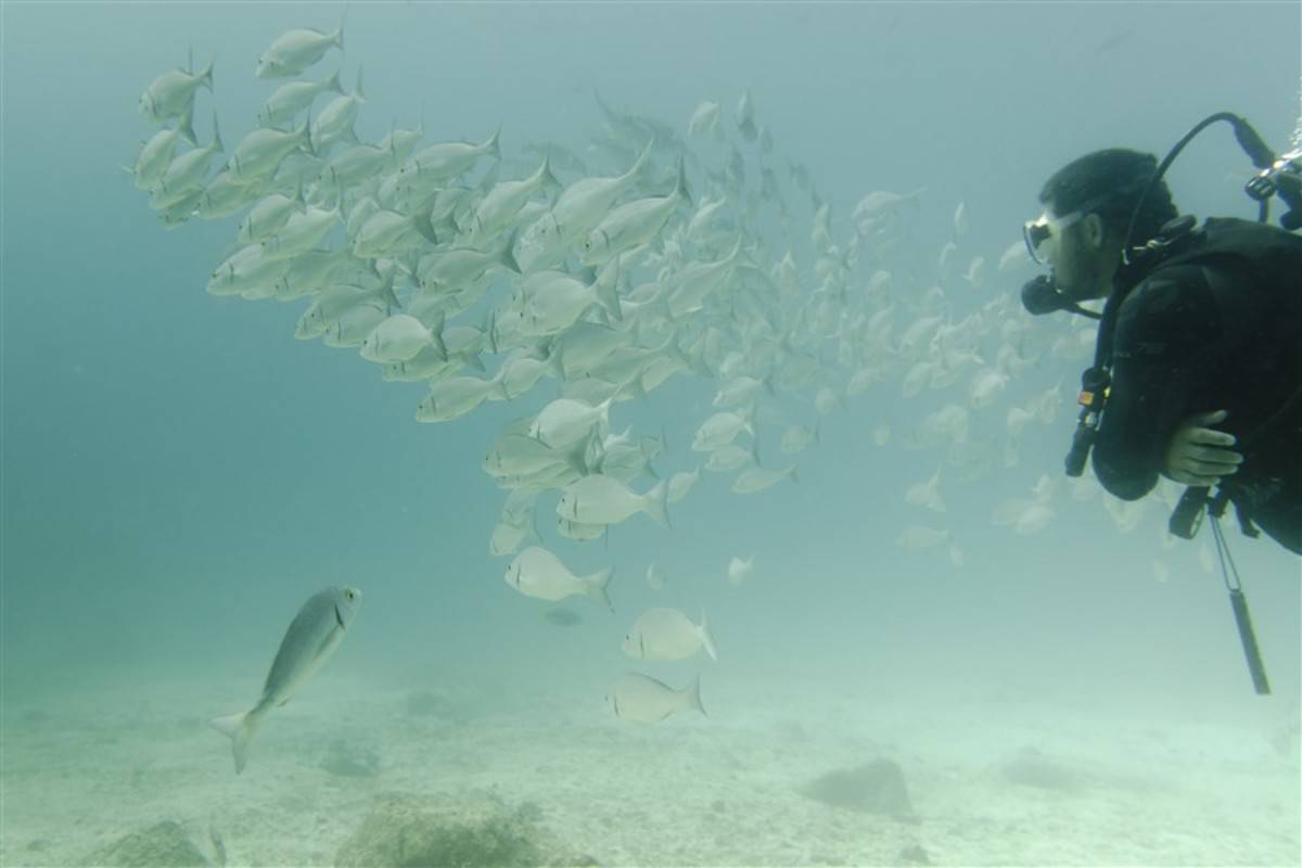 Eden: Galapagos West & Central Islands