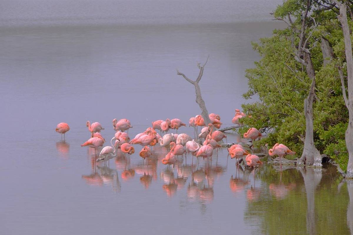 Eastern Galapagos Islands