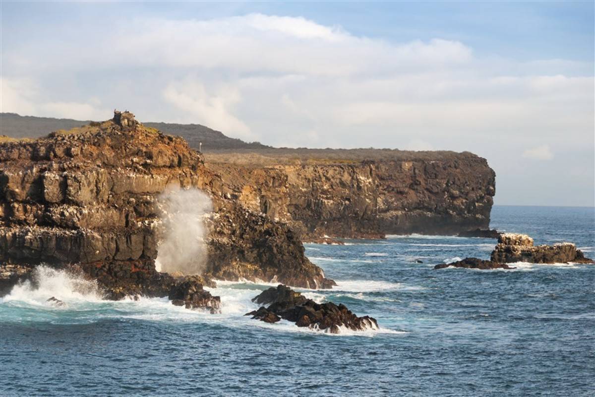 Galapagos South & Central Islands