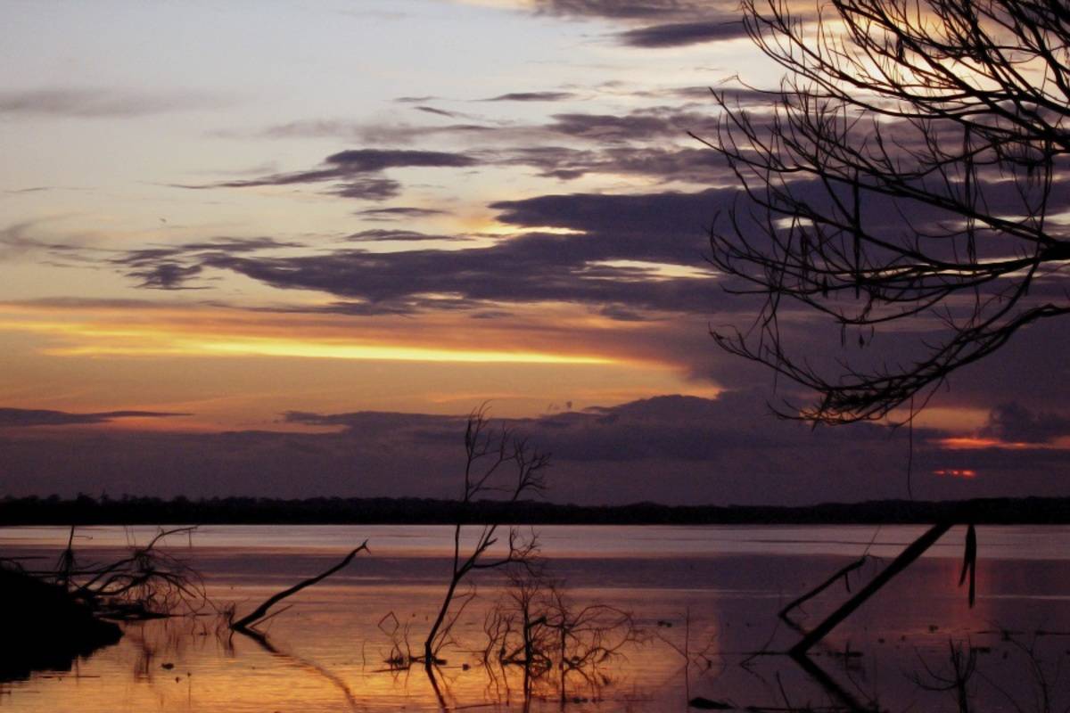 M/V La Perla: Amazon River to Pacaya Samiria National Reserve