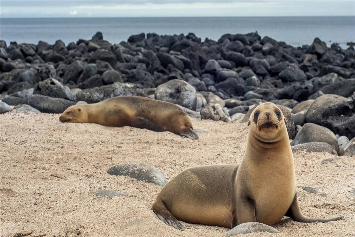 Southern Galapagos Islands