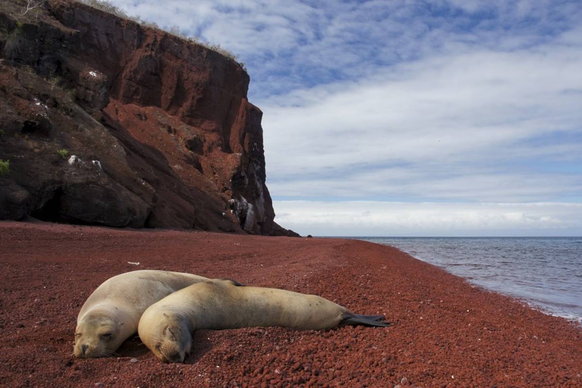 Central and Western Galapagos Islands (A8)