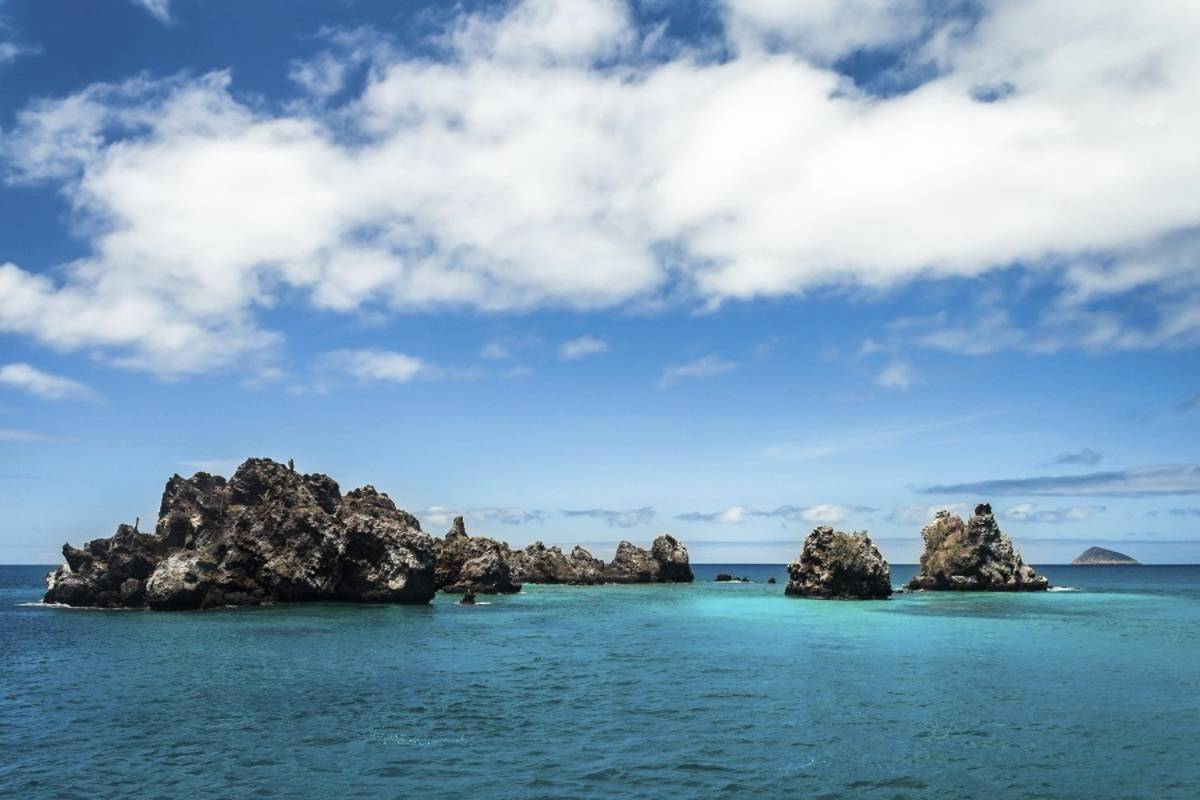 Central, Southern and Eastern Galapagos Islands (B8)