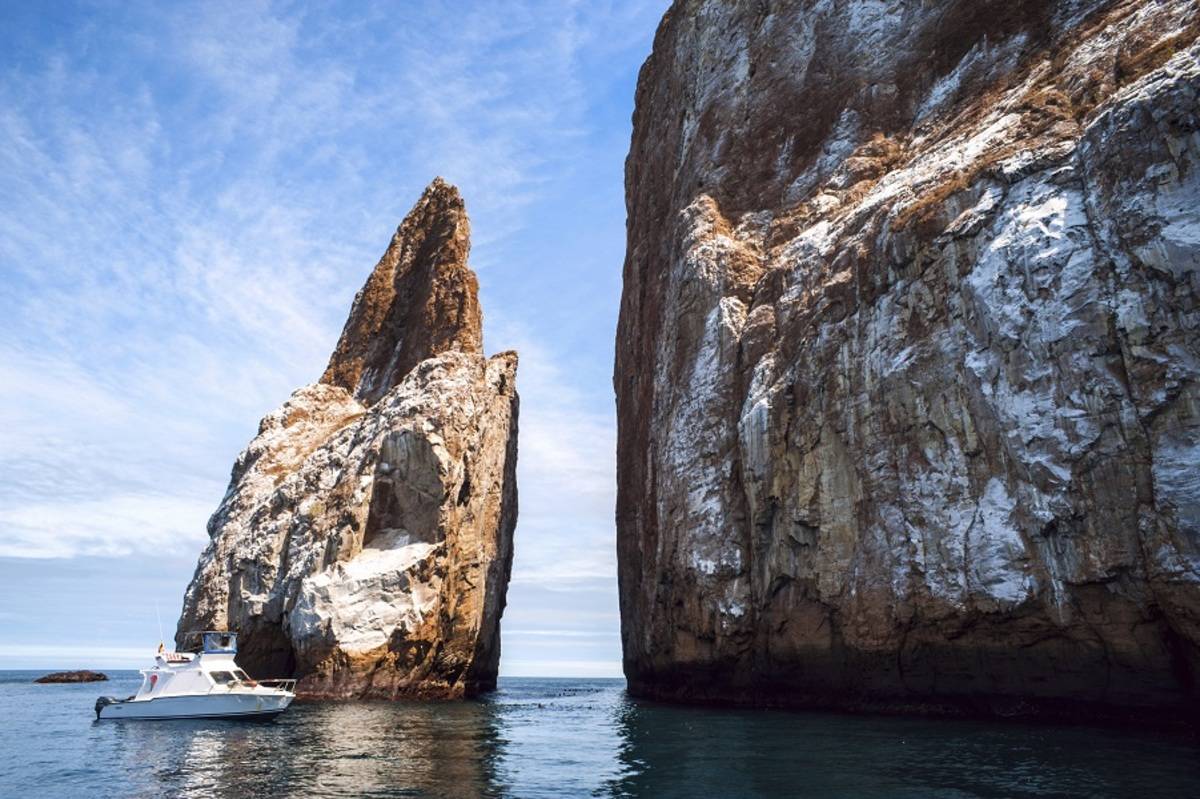 Galapagos Land & Sea - Central and South Islands